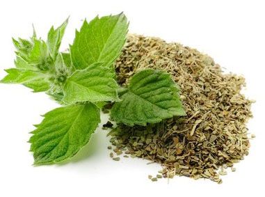 قیمت خرید نعناع خشک محلی + فروش ویژه